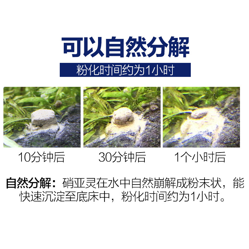 养鱼硝化细菌鱼缸净水剂开缸免换水片剂水族细菌高清大图