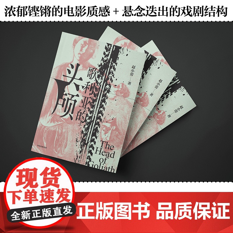 歌利亚的头颅 赵小蕾著 现代的罪与罚故事 长篇小说 父子关系 权力斗争 中信出版社图书 正版高清大图