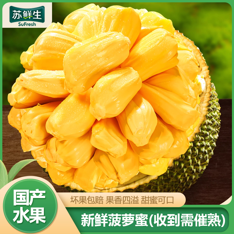 【苏鲜生】海南黄肉菠萝蜜 新鲜水果 香甜可口 1个 净重25-30斤装 热带水果1