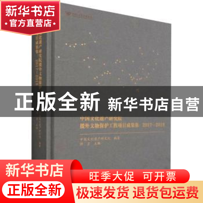 正版 中国文化遗产研究院援外文物保护工程项目成果集:2017-2019高清大图
