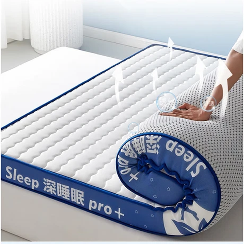 梦莺 记忆棉乳胶床垫加厚床垫褥子 (厚约5cm) 100*200cm(计价单位:张)高清大图