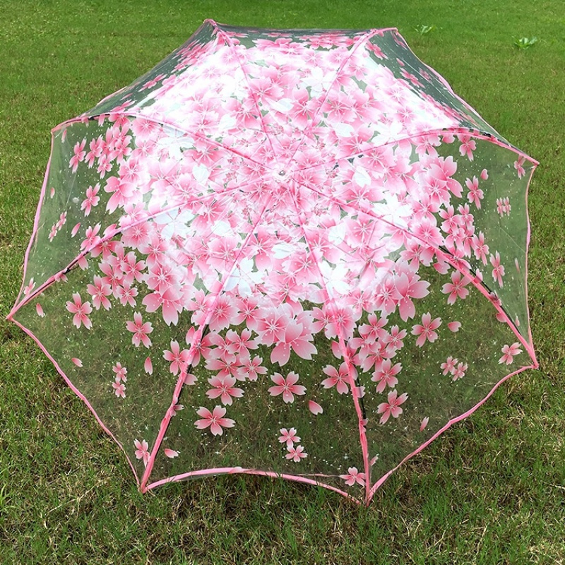 长柄樱花紫色浪漫樱花透明伞折叠雨伞