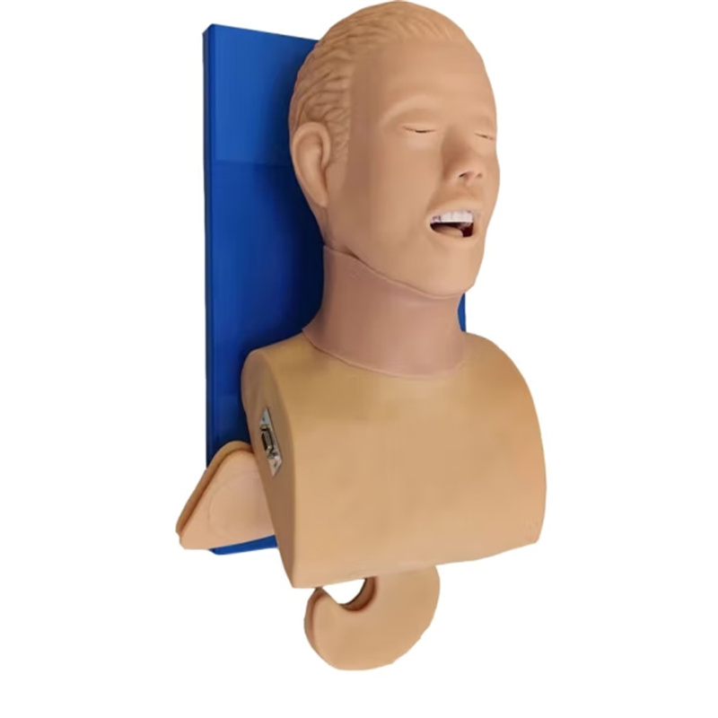 佳悦科教通高级气道管理模拟人气管插管训练模型环甲膜穿刺训练模型JY/BD005S高清大图