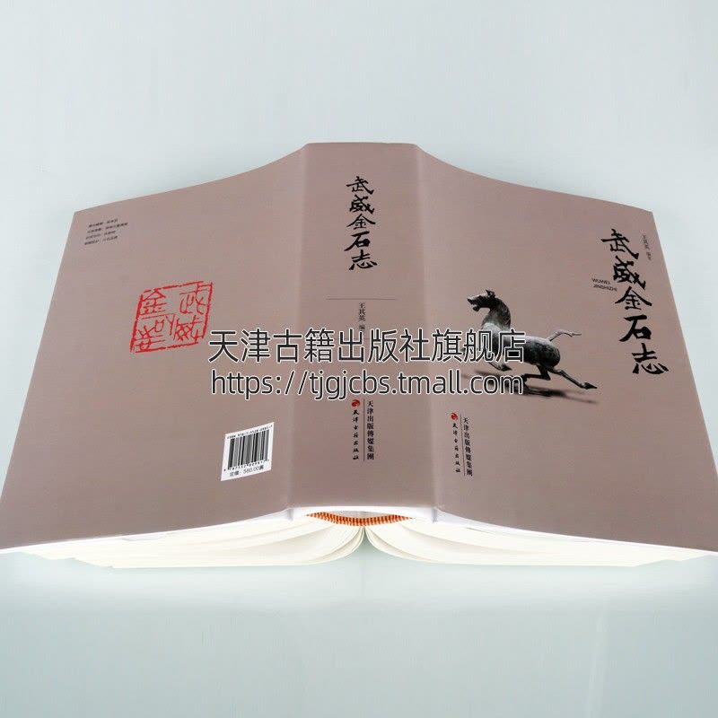 [醉染正版]武威金石志中国西北地区岩画碑刻墓志碑石刻雕佛像铭文记匾额史料文化研究历史文物资料马踏飞燕图集文献 金石拓片题图片