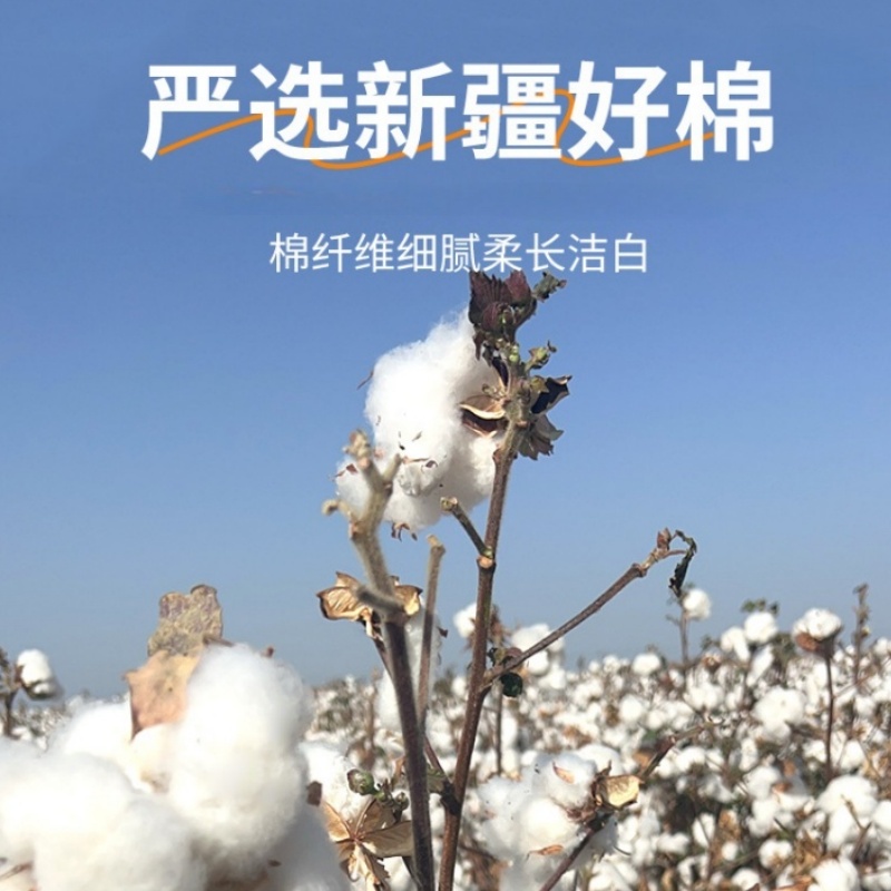 晨磊棉被10斤/床高清大图