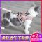 反光小孔黑色+1.2米扁绳 猫:XS[建议4斤内] 遛猫绳猫咪牵引绳防挣脱背心式猫绳子猫链子猫咪专用外出溜猫绳子