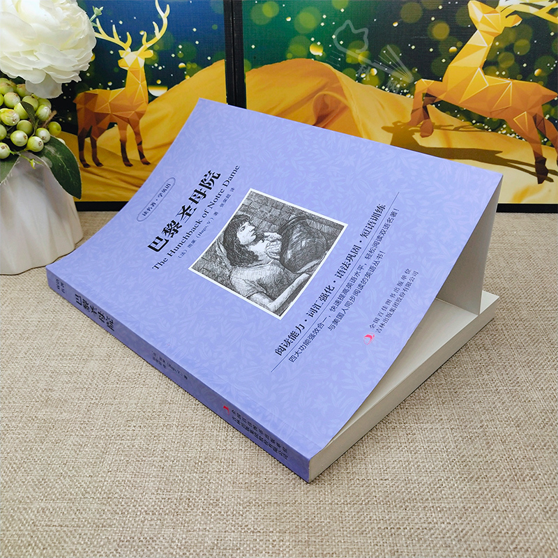 [中英互译]巴黎圣母院 [正版]巴黎圣母院中英文双语书籍名著读物英汉对照小说全套阅读 巴黎圣母院原著 读名著学英语 高初