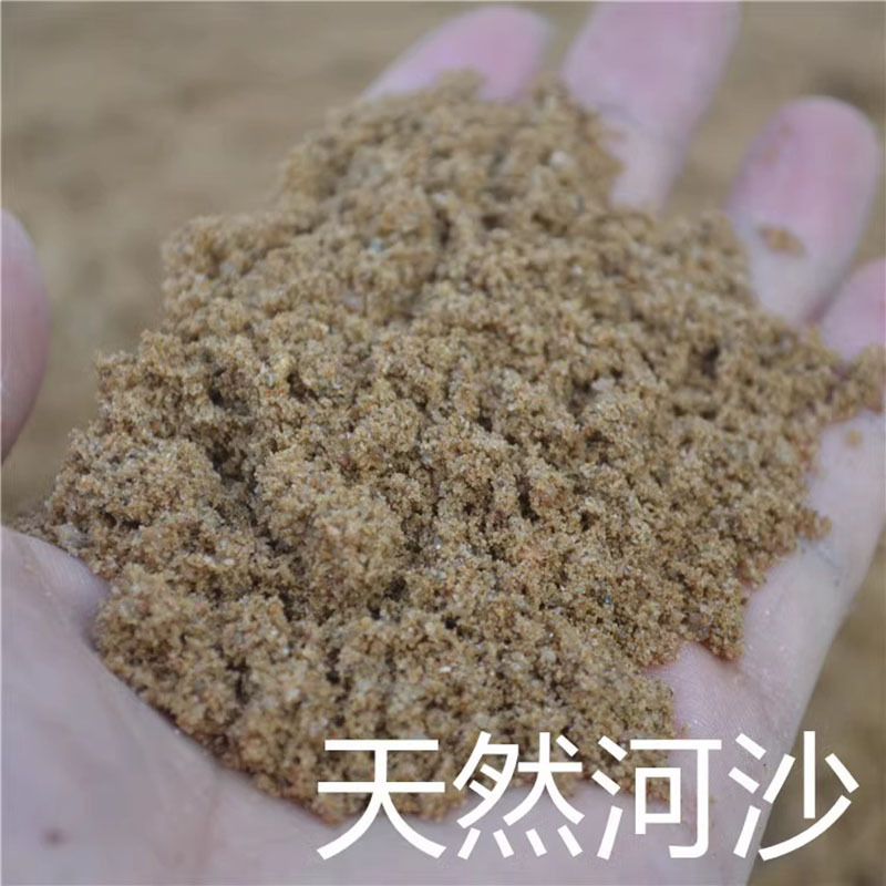 天然河沙 河沙 50斤/包