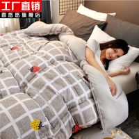 被子四季通用太空被冬被棉被芯春秋薄被空调被夏凉被双人夏被 草莓格子 110x150cm 儿童被