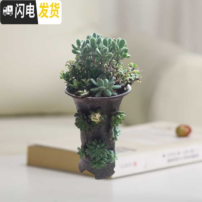三维工匠多肉个性陶瓷花盆多孔洞洞花盆多肉盆栽摆件绿植陶瓷盆高款兰花盆 洞洞盆HZ269 中等花盆容器高清大图