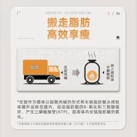诺特兰德 左旋肉碱胶囊30粒*5瓶 减肥男女饭后官方旗舰店