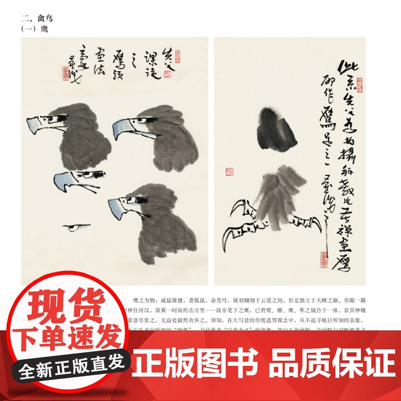 李苦禅大写意花鸟画稿 名家课徒稿临本禽鸟花果水墨上海人民美术出版社中国画绘画技巧技法高清大图