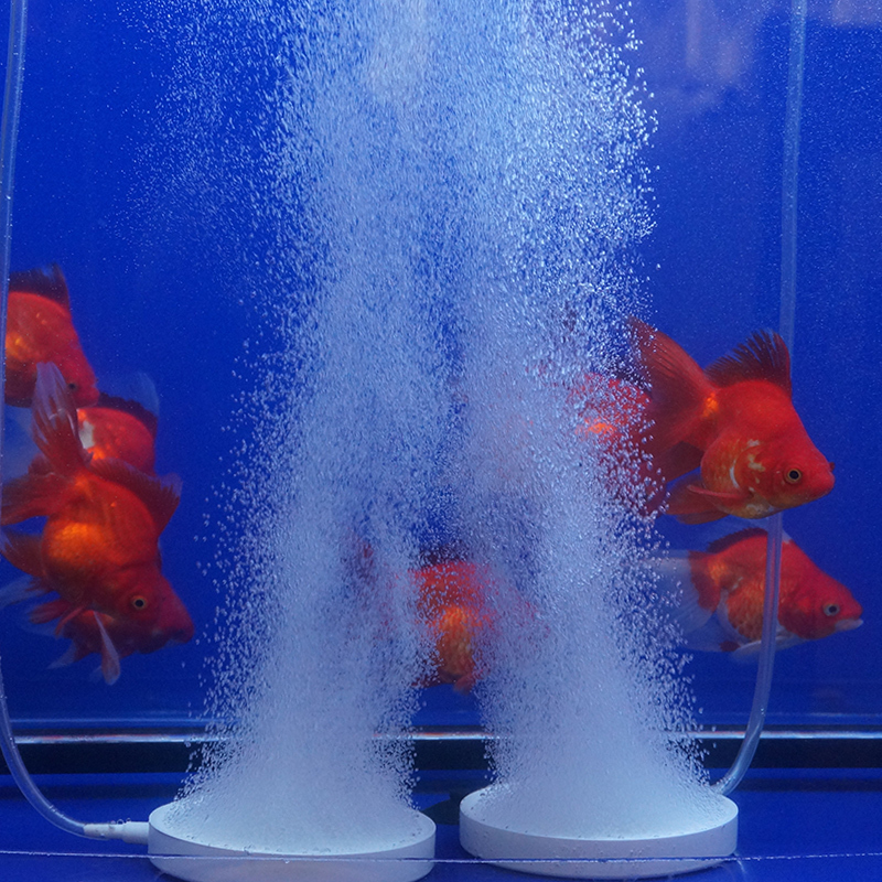 增氧气泡盘气盘石鱼缸水族箱面包形气泡盘增氧泵气饼气泡石曝气石