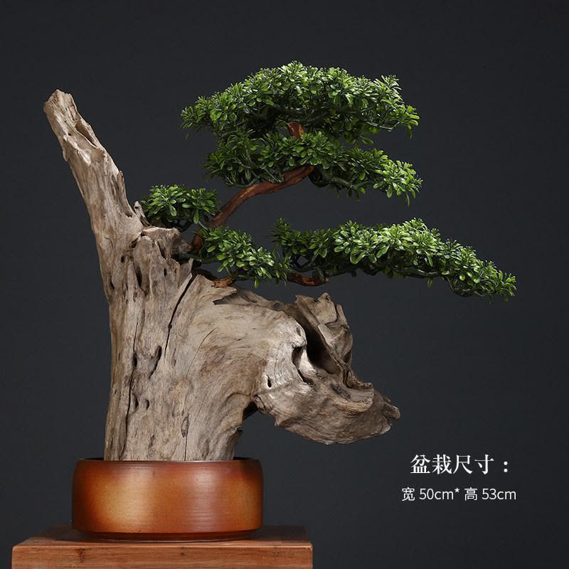 美帮汇根花架实木树根原木底座落地客厅木摆件根艺盆景架图片