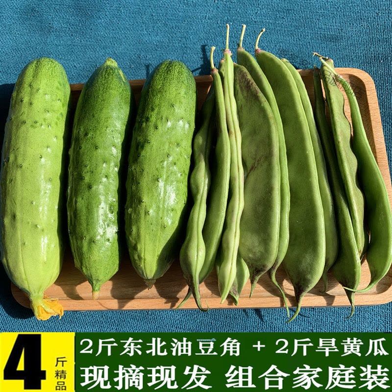 油豆角5公斤 油豆角批发]东北油豆角一点红油豆角新鲜现摘自产自销原产地直发