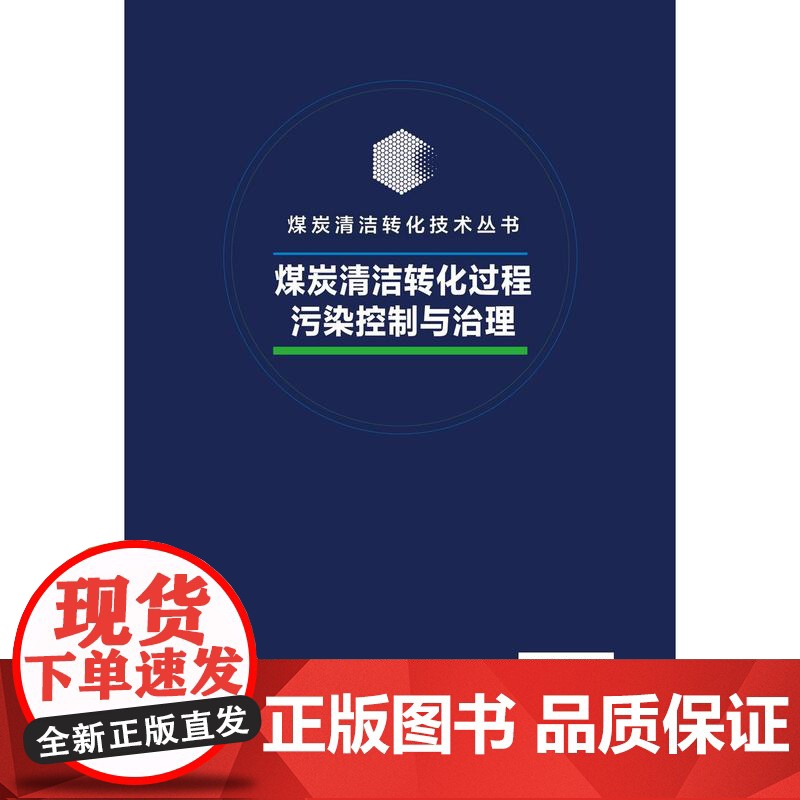 煤炭清洁转化过程污染控制与治理高清大图