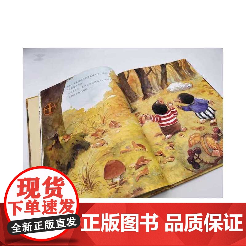 [央视网]小巴掌童话绘本 我的山坡我的落叶 ZK高清大图