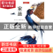正版 家燕 李莉文 中国中福会出版社 9787507219210 书籍