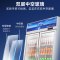 星星(XINGX)LSC-518Y 530升大容量双门冷藏展示柜 商用冰箱保鲜冷藏冰柜 玻璃门立式饮料柜