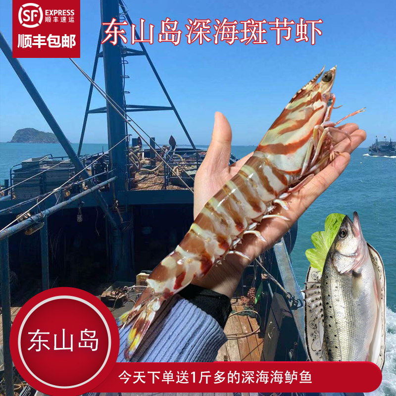 沈志雄船长 东山岛海捕海鲜超大斑节虾竹节虾明虾基围虾400g/2-3条/盒共2盒共净重800g