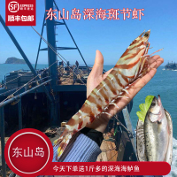 沈志雄东山岛海鲜野生大斑节虾竹节虾明虾基围虾400g4-6条/盒共2盒净重800g