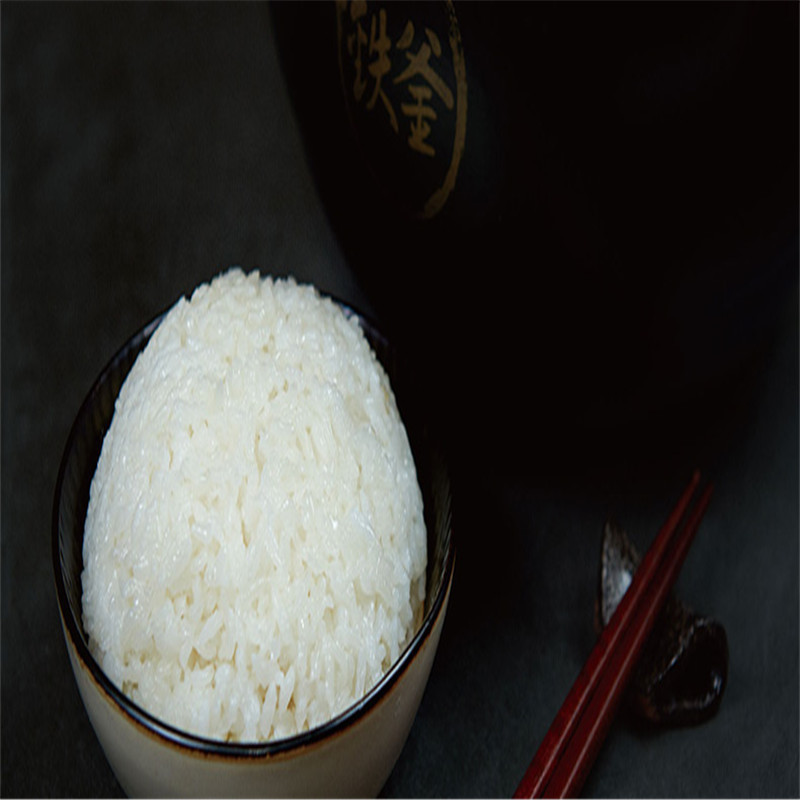 九阳电饭煲铁釜内胆4L家用电饭锅预约触摸式智能控制F-40T15