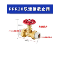 许工(XUGONG) 东岑热熔PPR双活接铜截止阀PE水截门闸阀4分6分自来水管阀门开关 PPR20 单位 个