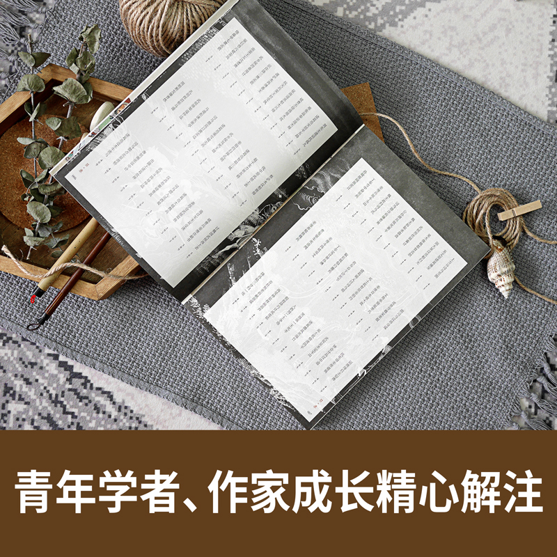 彩绘 三国演义 [正版]群雄逐鹿 彩绘三国演义 两册 金协中工笔重彩绘制 240幅彩绘 作者解注 四大名著插图版连环画高清大图