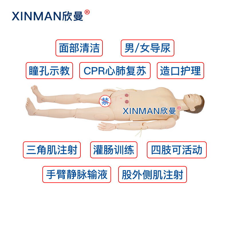 欣曼科教 高级成人综合训练模拟人 综合护理人体模型 急救护理二合一功能 无线版含笔记本电脑XM-ALS879A高清大图