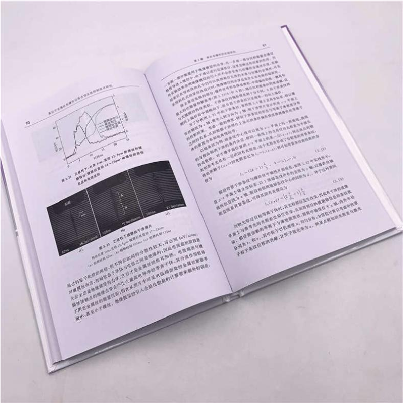 醉染图书真空中金属丝电沿面击穿及其抑制技术研究9787302545729高清大图
