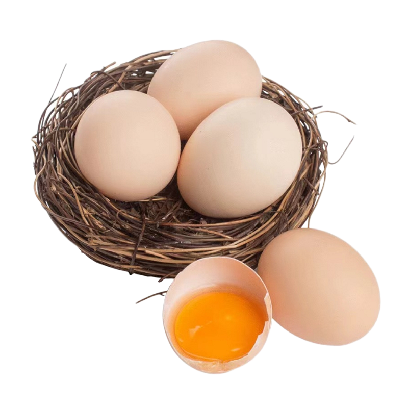 正宗农家土鸡蛋新鲜谷饲鲜蛋6枚高清大图
