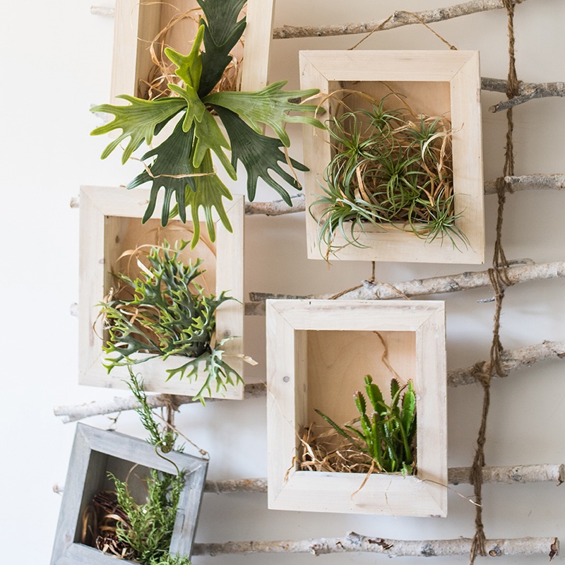 家柏饰(CORATED)壁挂花框花盆花器 实木手工做旧复古花园用品杂货 夏菊套装材料包 中高清大图