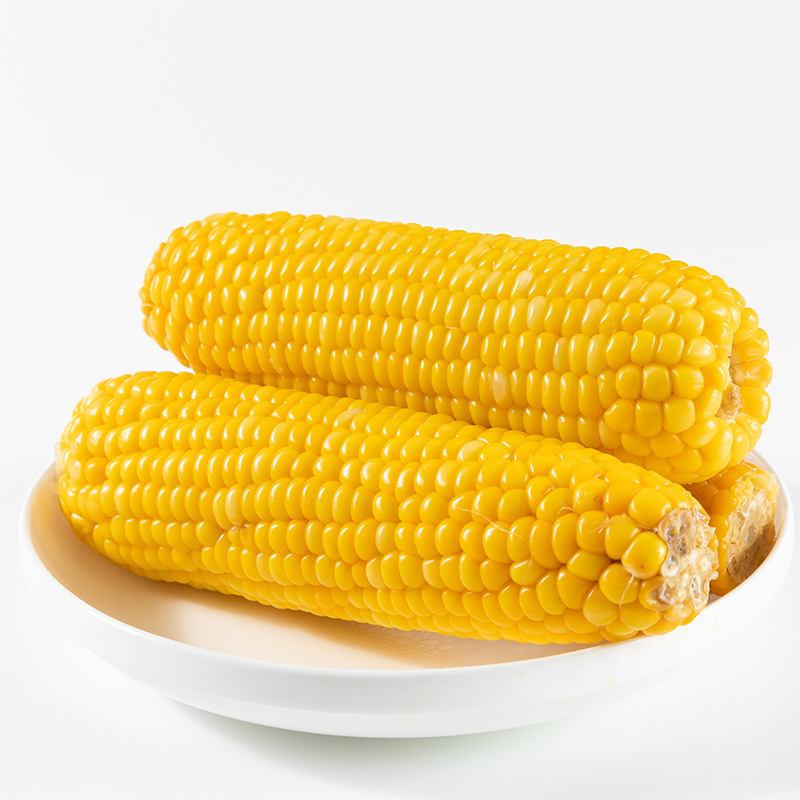 闲居人黄玉米棒子10根装约2kg真空东北甜黏糯玉米粒生鲜杂粮粗粮烧烤