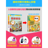 【正版2019秋】教材解读语文四年级上册人教版 小学4年级上统编课本同步讲解练习预习资料书 人民教育出版社