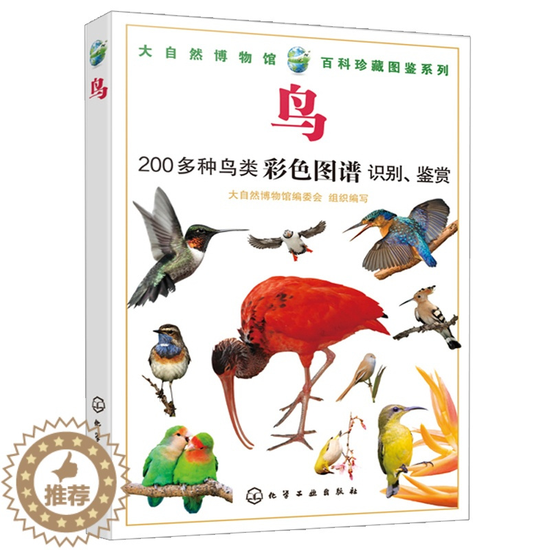 [醉染正版]大自然博物馆 百科珍藏图鉴系列 鸟 生活环境习性繁殖特点知识大全 鸣禽陆禽猛禽收录 青少年中小学生动植物科