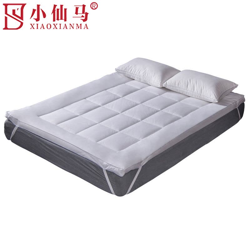 小仙马 保护垫 个图片