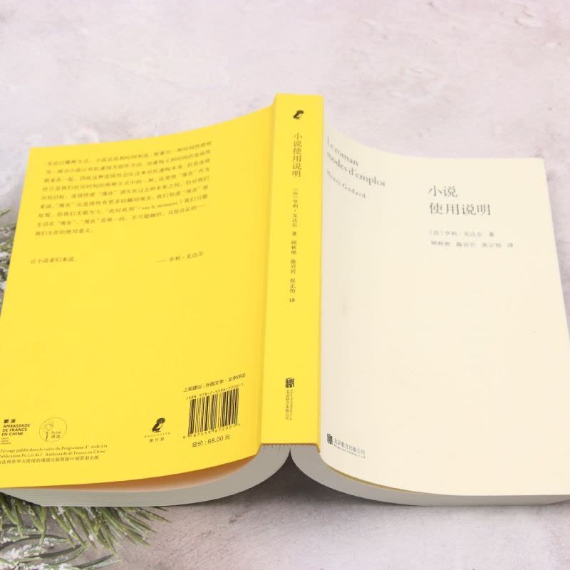 [正版]小说使用说明图片