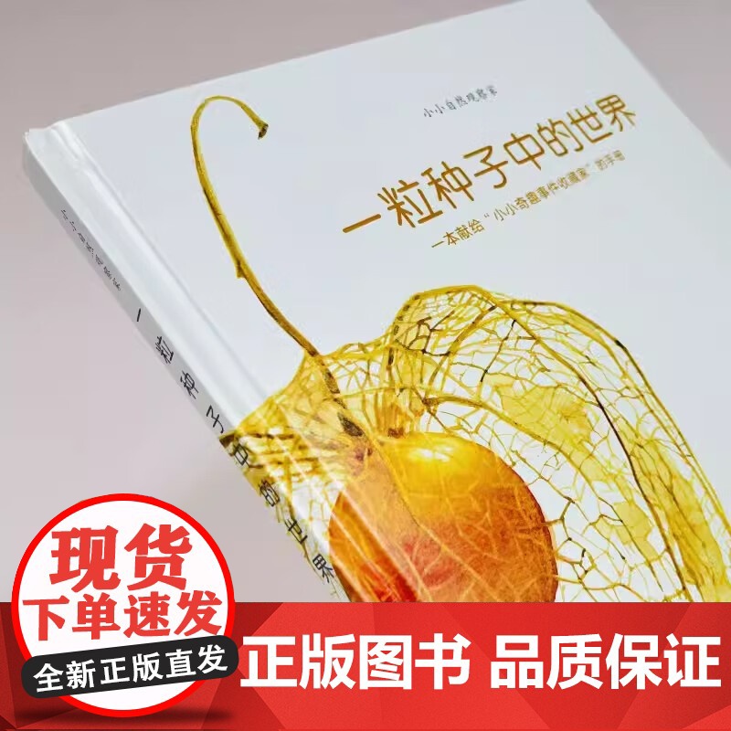 一粒种子中的世界意大利生态教育绘本3到6岁儿童书籍幼儿园阅读专用揭秘神奇能力一本颠覆孩子对种子认知与想象的书讲述了奇妙故高清大图