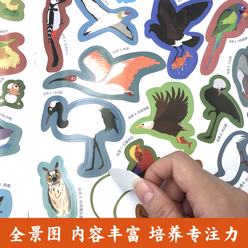 [正版]全5册我身边的大自然全景贴纸书3-6岁儿童益智贴图书宝宝全脑开发书籍幼儿专注力脑力训练贴贴画动物世界海洋国度恐高清大图