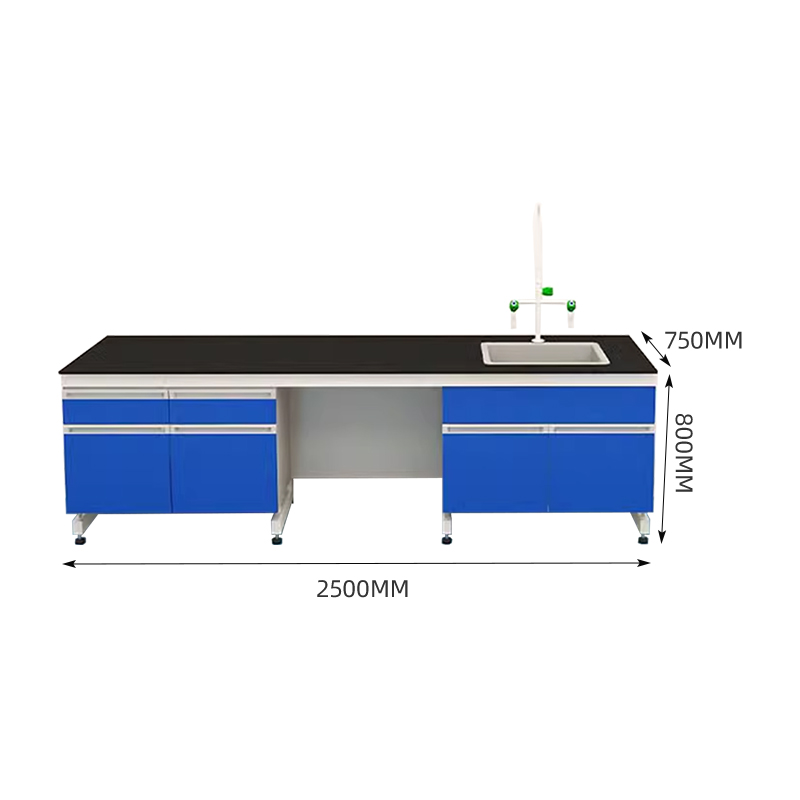 臻远 ZY-SYT-21 实验室 工作台化验室操作台化验桌 2.5米右含水槽台高清大图