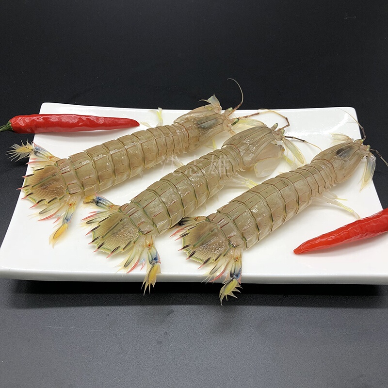 沈志雄船长 东山岛海捕海鲜皮皮虾肉虾姑肉 袋装 2袋 共1000g高清大图