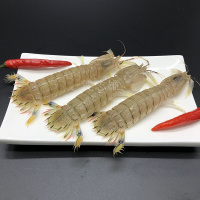 沈志雄船长 东山岛海捕海鲜皮皮虾肉虾姑肉 袋装 2袋 共1000g
