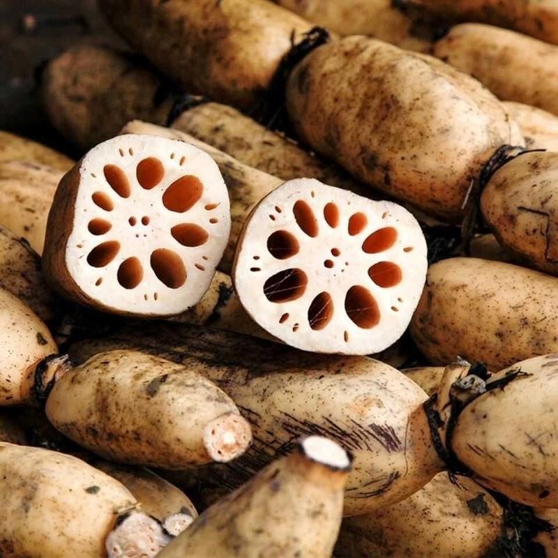 赛卡伊汕头西胪新鲜莲藕粉藕糯米蔬菜本地现挖农家九孔煲汤炖汤潮汕三