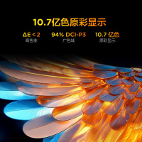 雷鸟 鹏7 一级能效版 98英寸游戏电视144Hz高刷4+128GB 98/100巨幕电视98S385C Pro