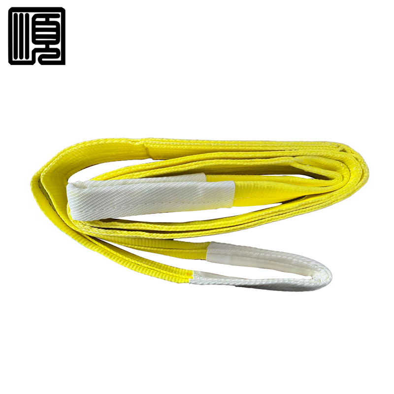 顺心捷 扁平吊装带 3T3M 个