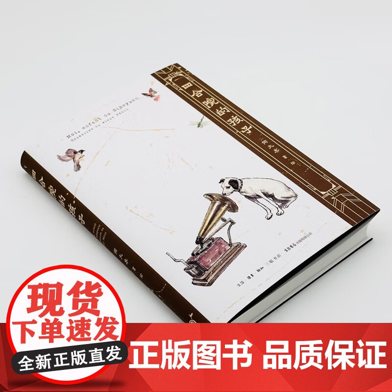 四合院的孩子 何大齐 著 散文高清大图