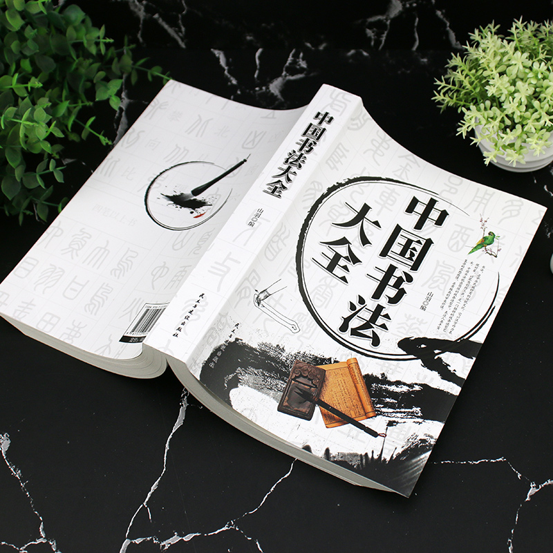 [正版]中国书法大全加厚本466页 山羽编书法作品楷书行书隶书草书颜真卿 书学基础技法基础知识理论基础如何写好字书法大全高清大图