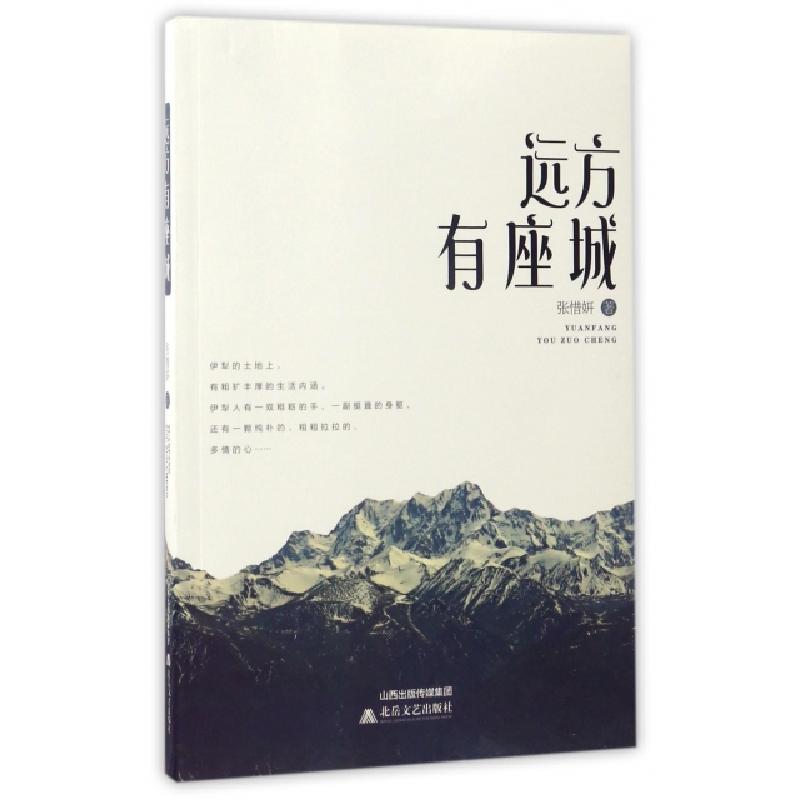 正版新书】远方有座城张惜妍9787537851305