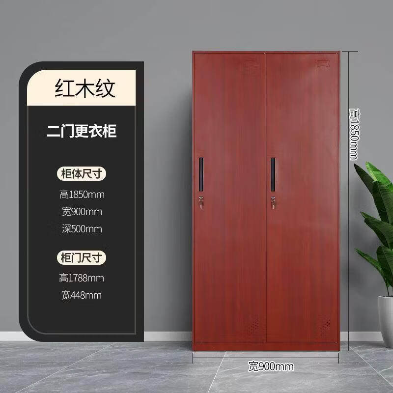 晋舰钢制仿木纹转印更衣柜员工宿舍铁皮衣柜鞋柜办公室储物柜二门B款高清大图