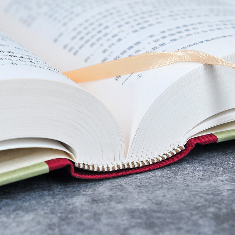 网格本:愤怒的葡萄 [正版]精装 愤怒的葡萄 (美)约翰·斯坦贝克著 网格本人文社外国文学名著丛书 中小学生课外阅读书高清大图